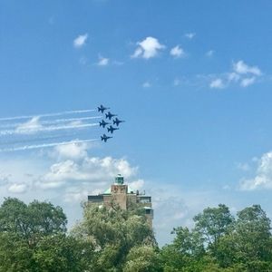 Meet your Posher, Ali